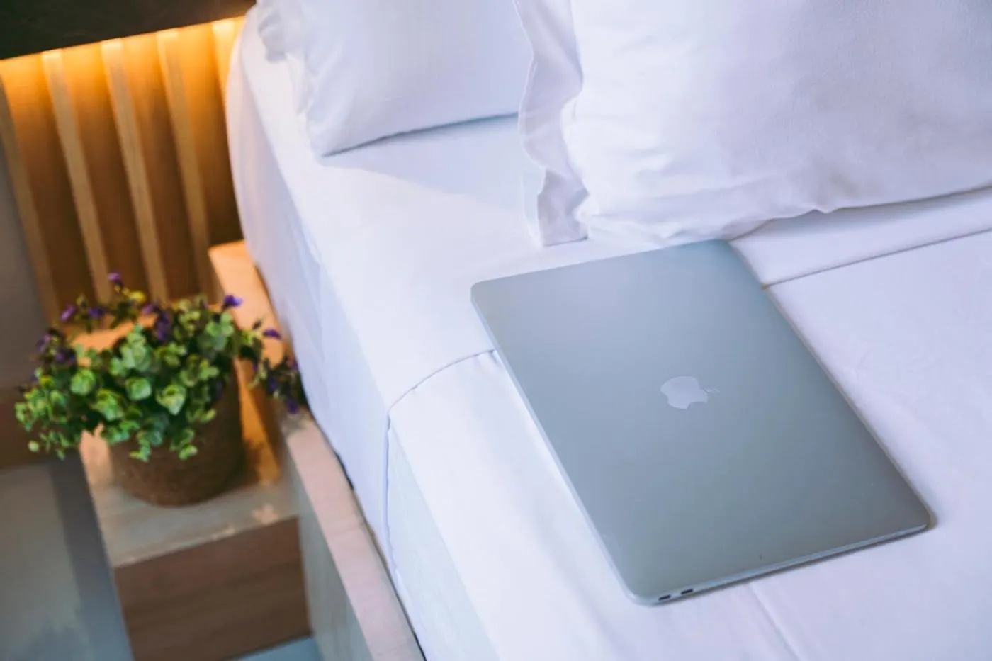 **  Hotel Casa Gardenia Barcelone Espagne